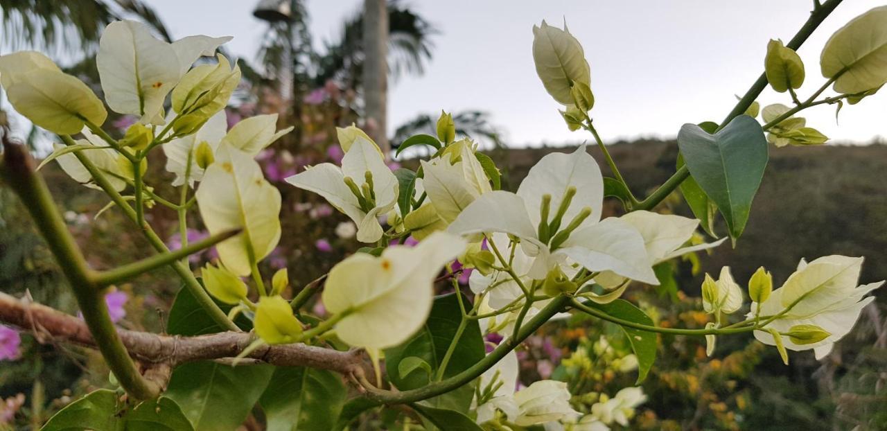 Vale Das Maritacas Teresopolis Villa Екстериор снимка
