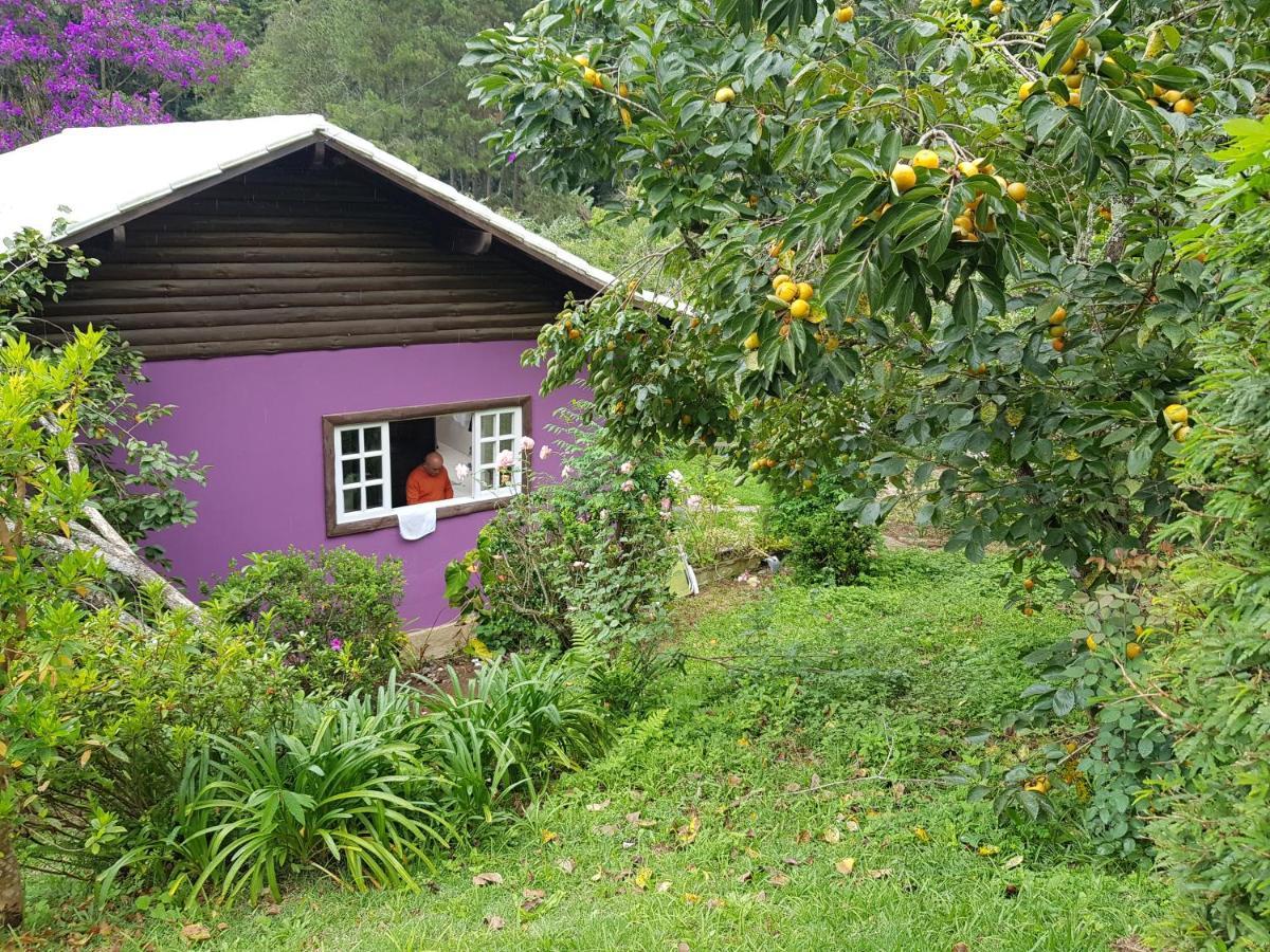 Vale Das Maritacas Teresopolis Villa Екстериор снимка
