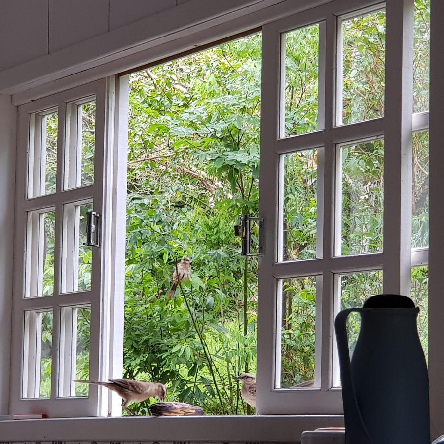 Vale Das Maritacas Teresopolis Villa Екстериор снимка