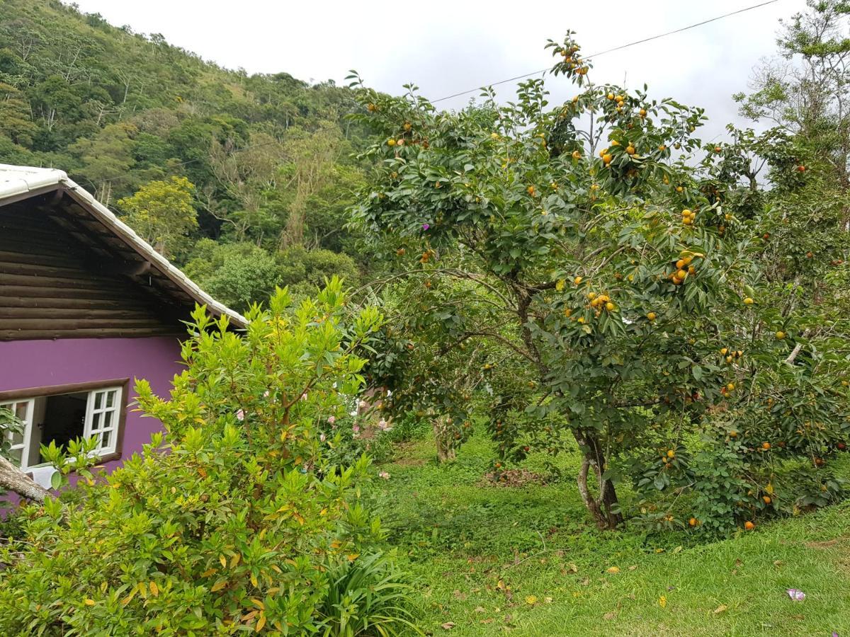 Vale Das Maritacas Teresopolis Villa Екстериор снимка